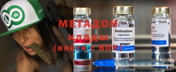 гидра Горняк