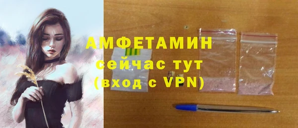 молекула духа Богородицк