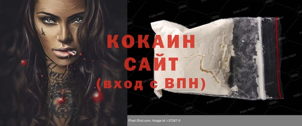 молекула духа Богородицк