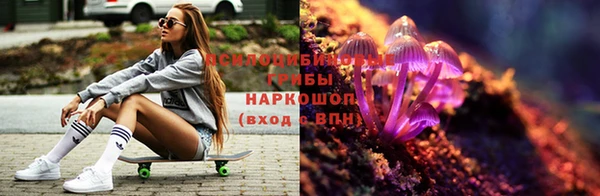 мяу мяу мука Богданович