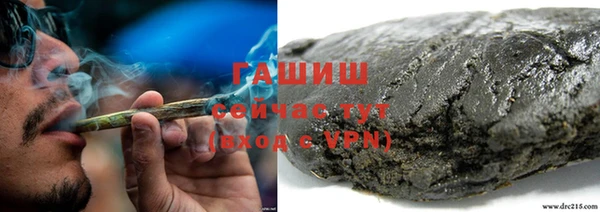 молекула духа Богородицк