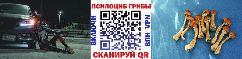как найти наркотики  Белый  Галлюциногенные грибы Psilocybine cubensis 